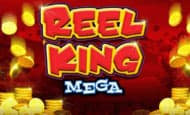 Reel King Mega