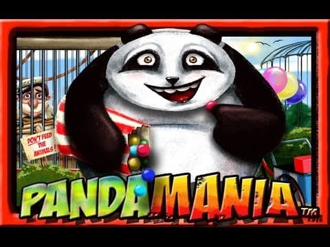 Pandamania Review