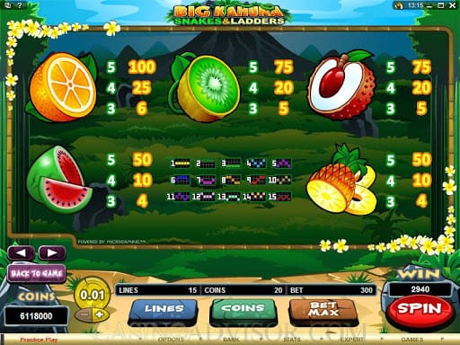 Big Kahuna Snakes and Ladders Slot Paylines