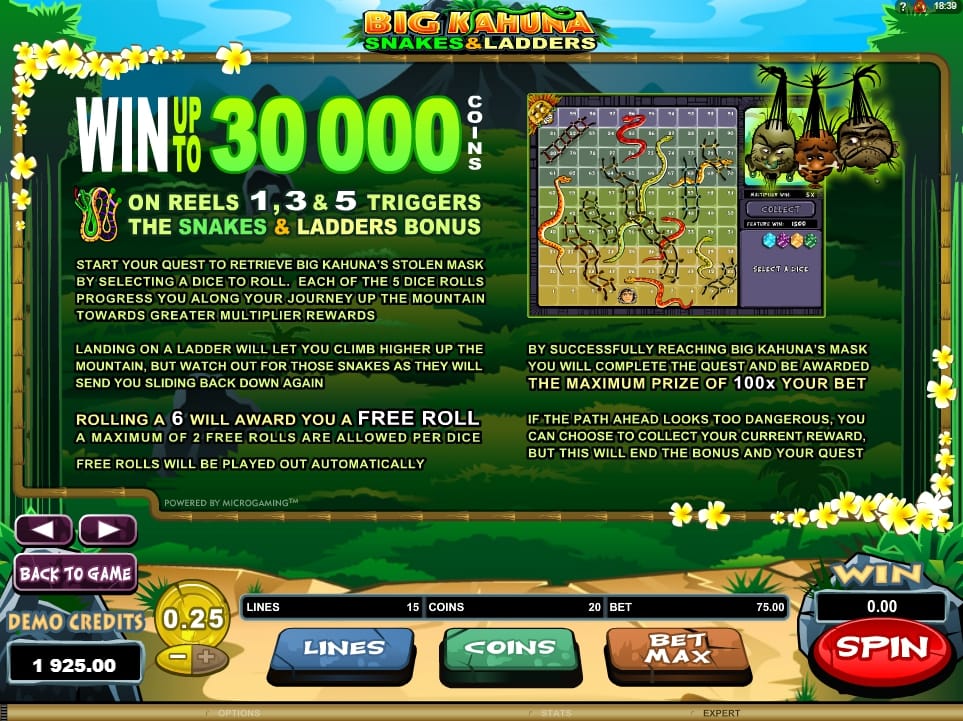 Big Kahuna Snakes and Ladders Slot Rules